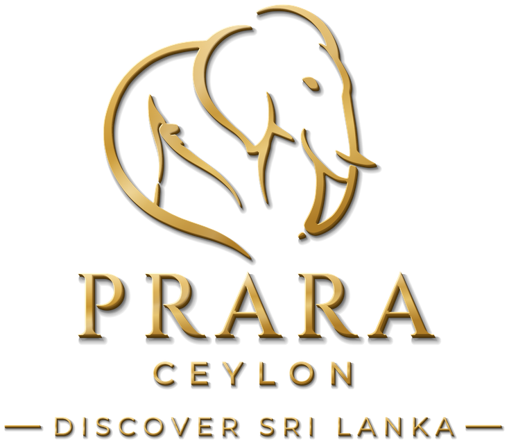 Prara Ceylon